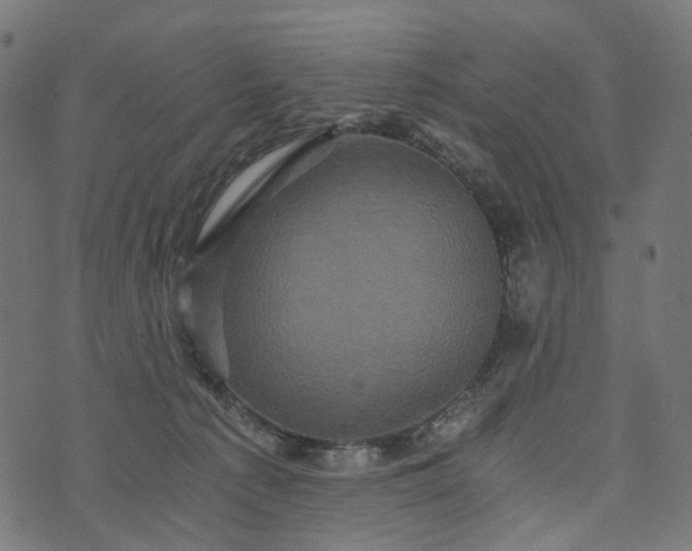 X0000073750225200608171339