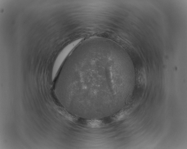 X0000073750226200608171339