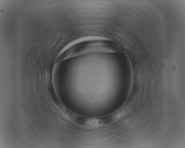 X0000073750227200608171339