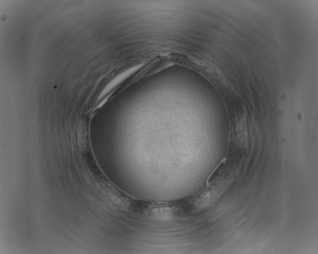 X0000073750228200608171339