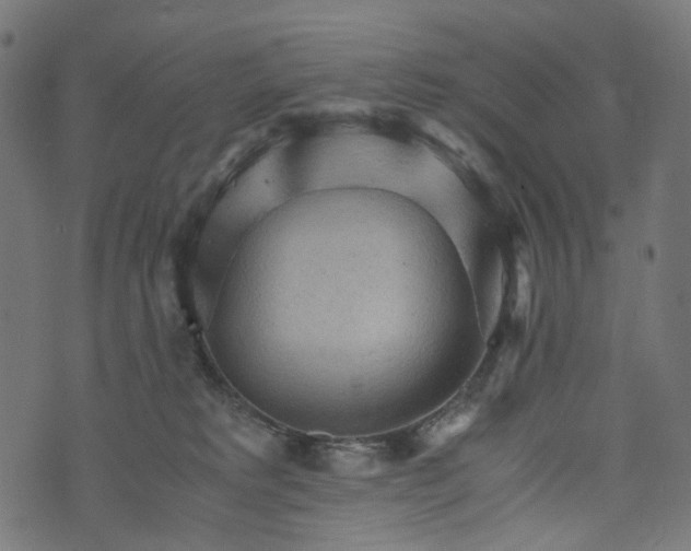 X0000073750229200608171339