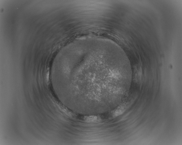 X0000073750230200608171339