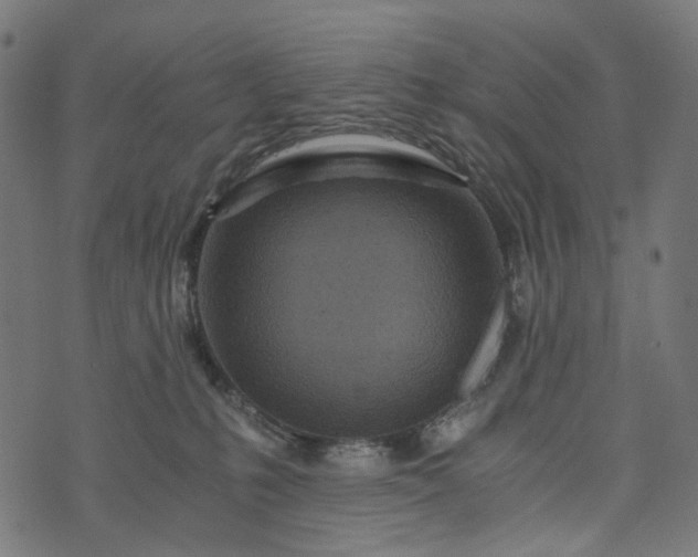 X0000073750231200608171339