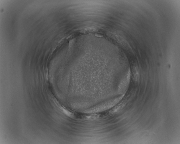 X0000073750232200608171339