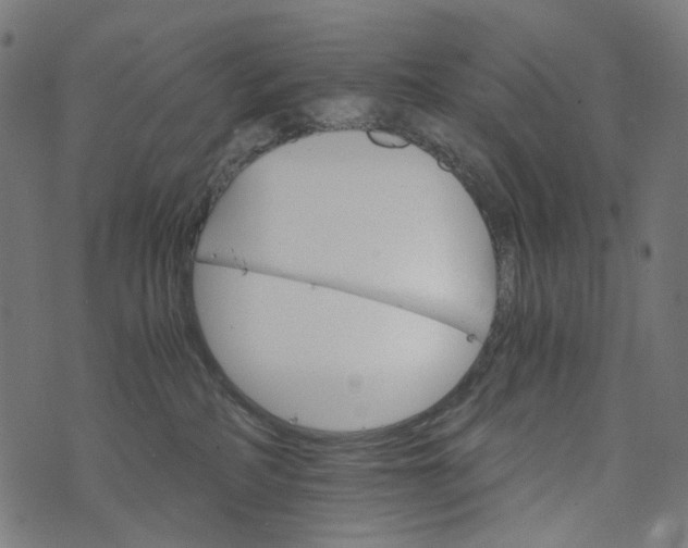 X0000073750234200608171339