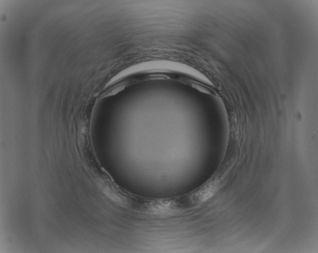 X0000073750235200608171339