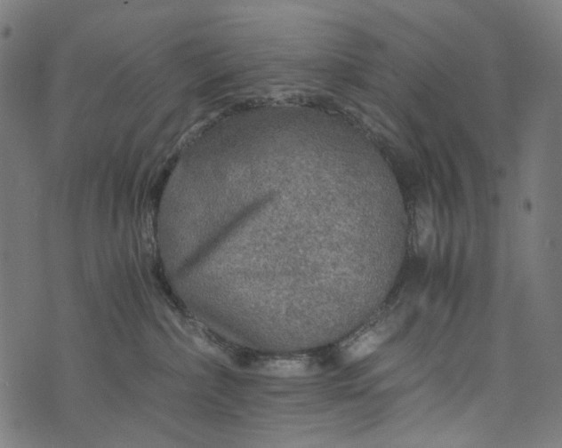 X0000073750236200608171339