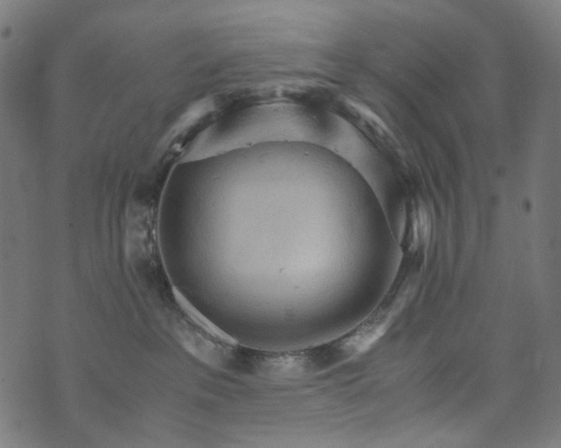 X0000073750237200608171339