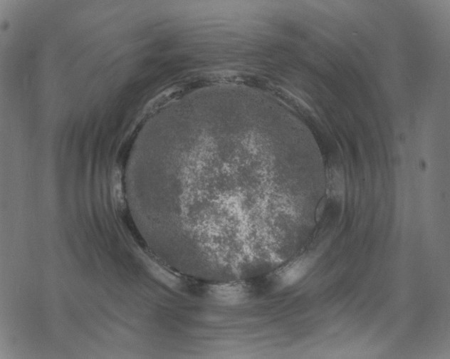 X0000073750238200608171339