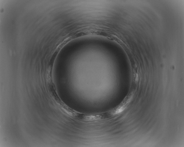 X0000073750239200608171339