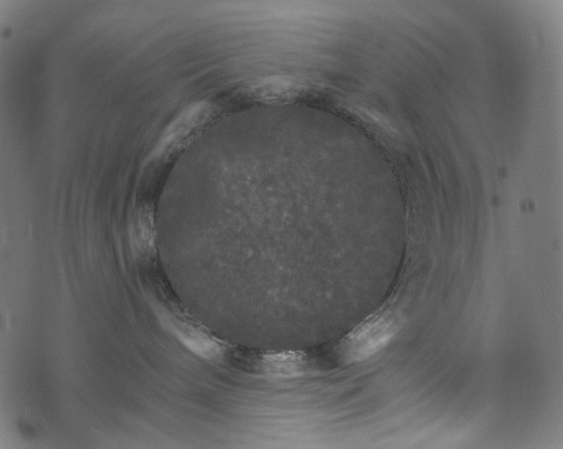 X0000073750240200608171339