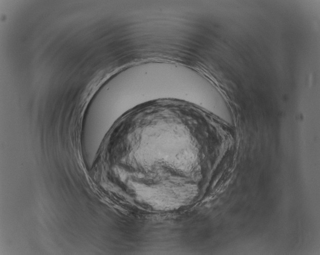 X0000073750241200608171338