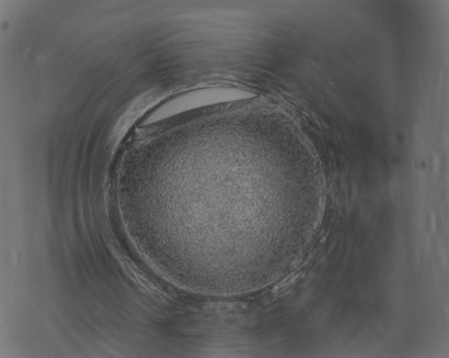 X0000073750242200608171338