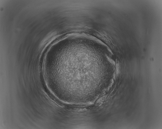 X0000073750243200608171338