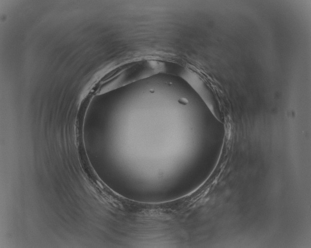 X0000073750244200608171338