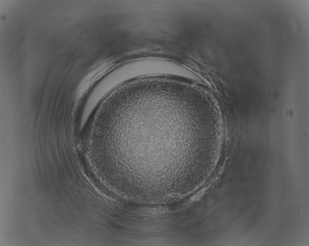 X0000073750245200608171338