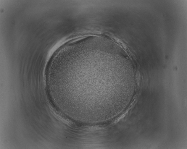 X0000073750246200608171338