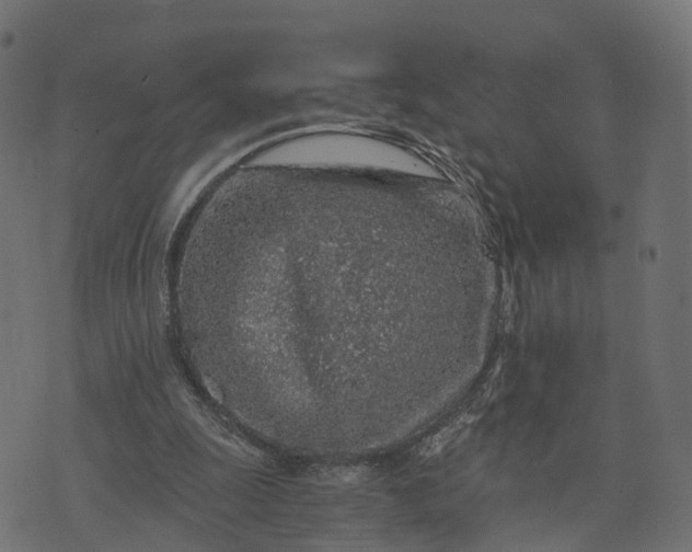 X0000073750247200608171338