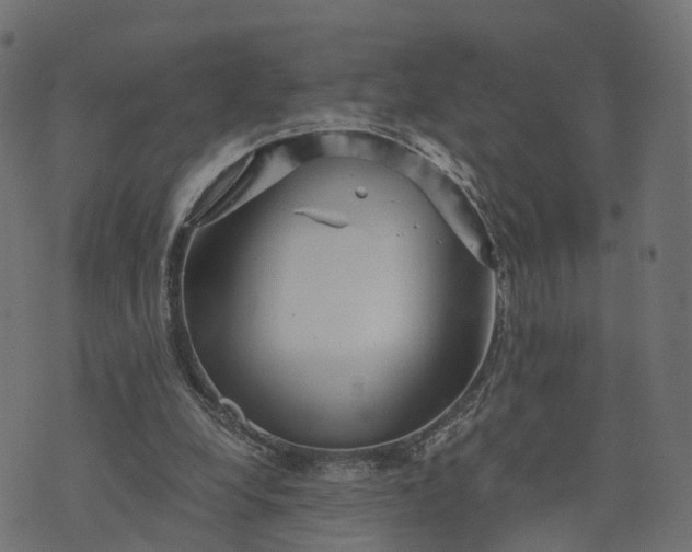 X0000073750248200608171338