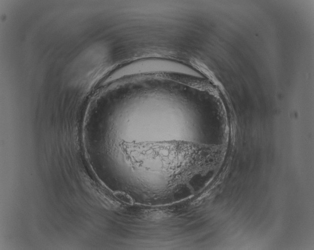 X0000073750249200608171338