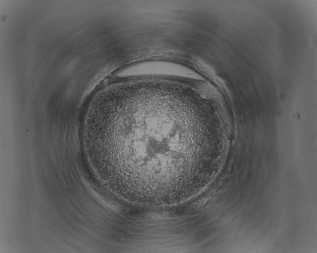 X0000073750250200608171338