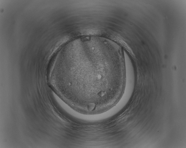 X0000073750251200608171338