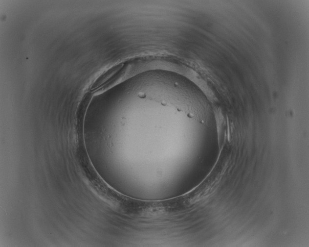 X0000073750252200608171338