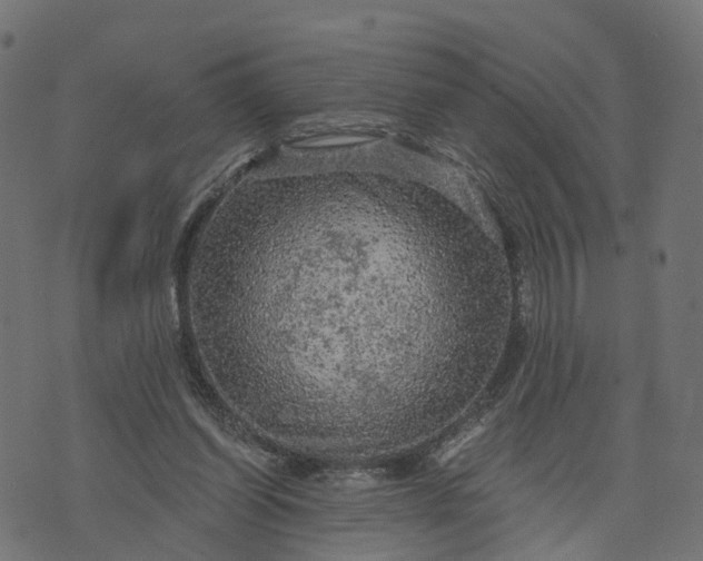 X0000073750254200608171338