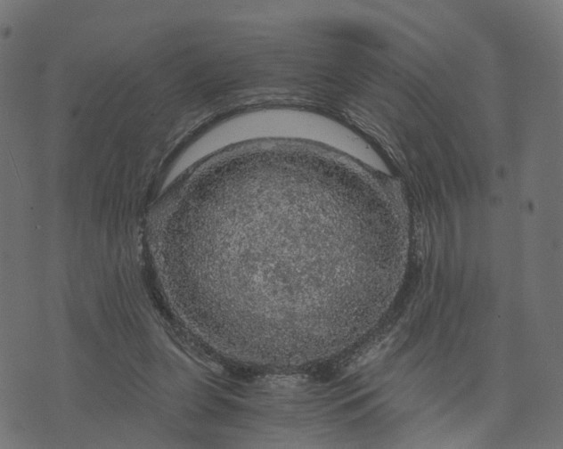 X0000073750255200608171338