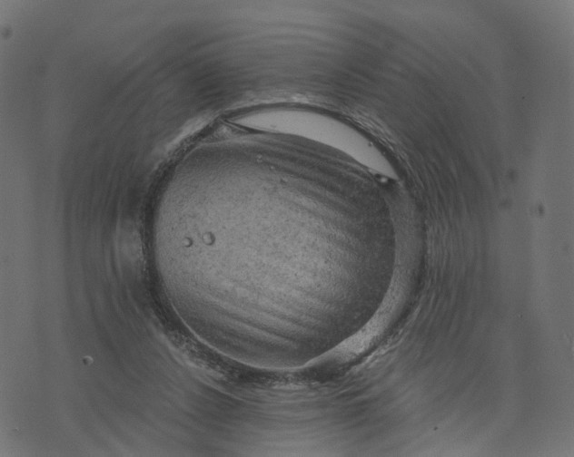 X0000073750256200608171338