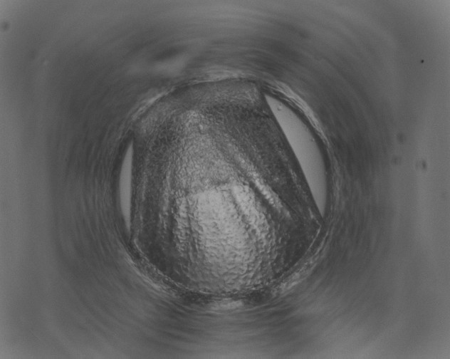 X0000073750257200608171338