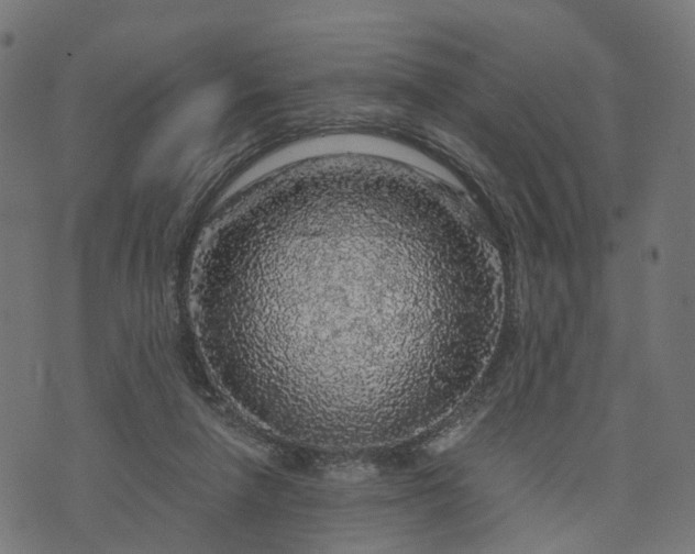 X0000073750258200608171338