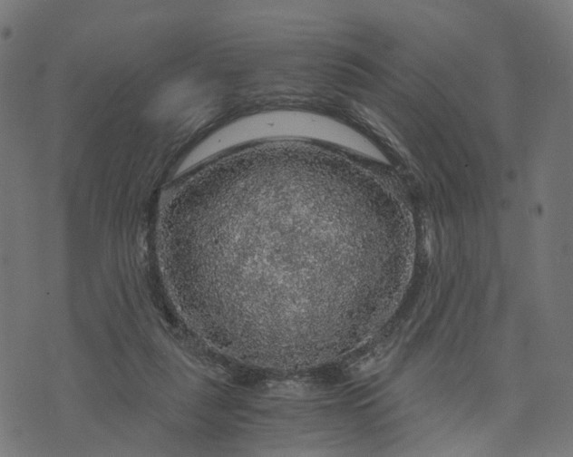 X0000073750259200608171338