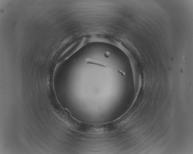 X0000073750260200608171338