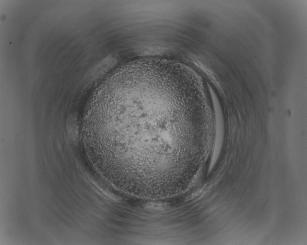 X0000073750261200608171338