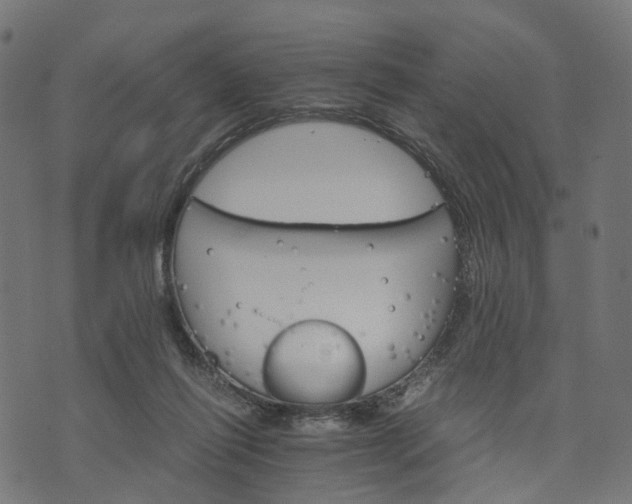 X0000073750262200608171338