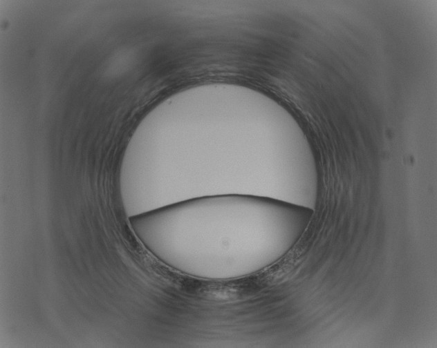 X0000073750263200608171338