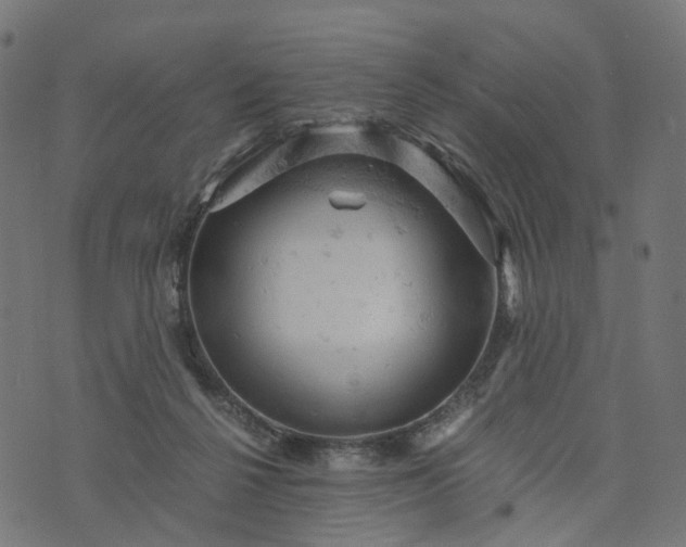 X0000073750264200608171338