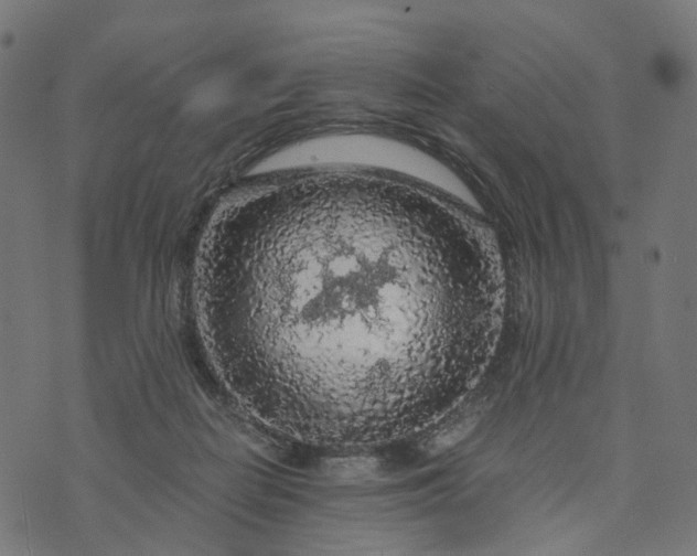 X0000073750266200608171339