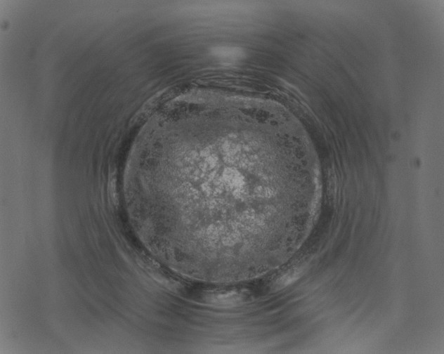 X0000073750267200608171339