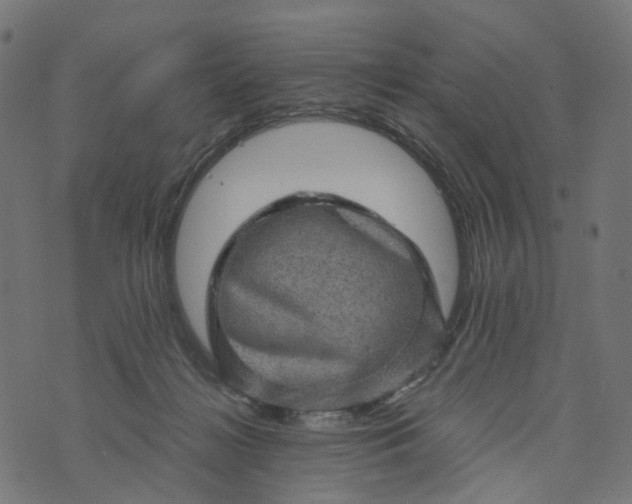 X0000073750268200608171339