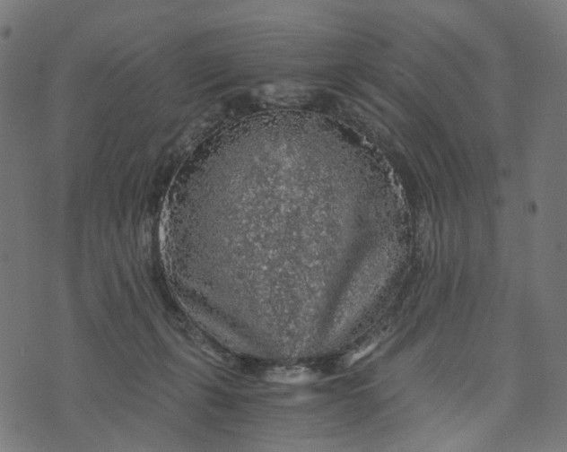 X0000073750271200608171339