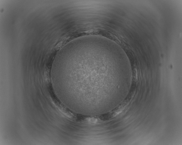 X0000073750272200608171339