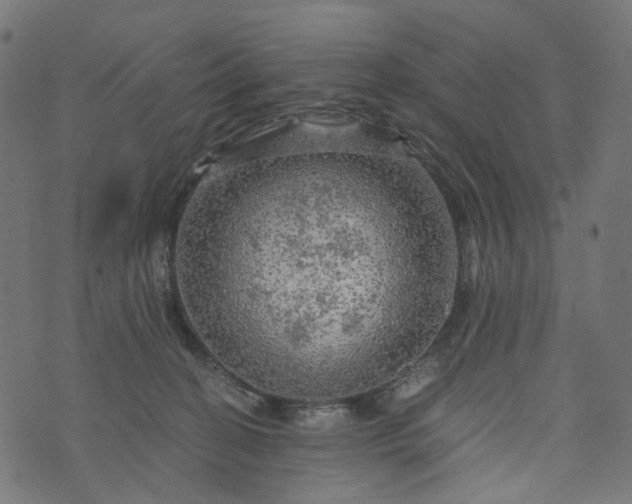 X0000073750274200608171339