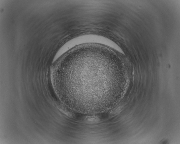 X0000073750275200608171339