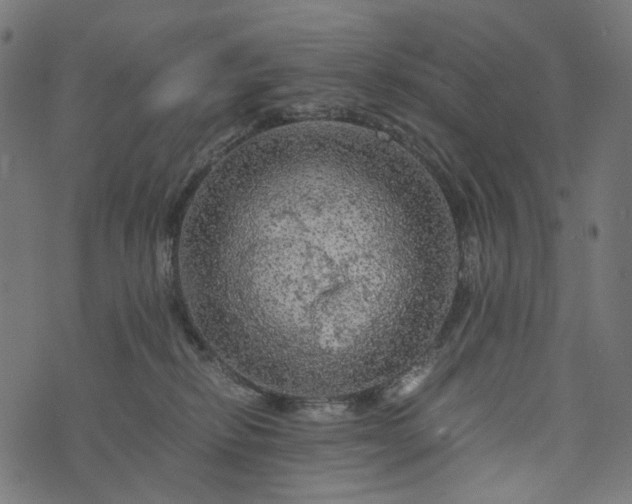 X0000073750278200608171339