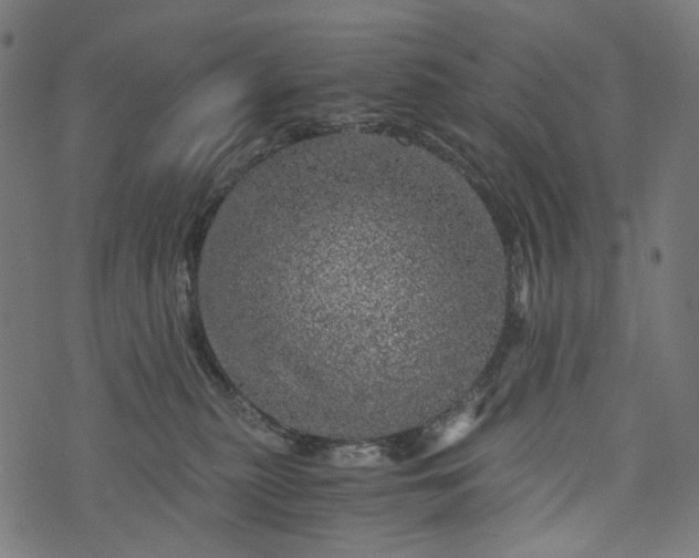 X0000073750279200608171339