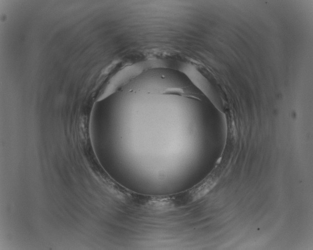 X0000073750280200608171339