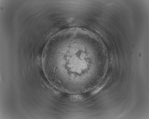 X0000073750281200608171339