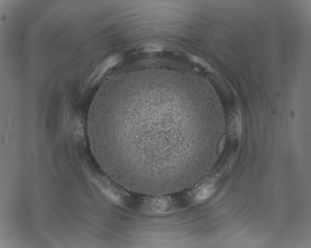 X0000073750282200608171339